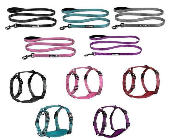 Leashes and Harnesses