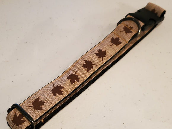 Fall Leaves Collar - Large