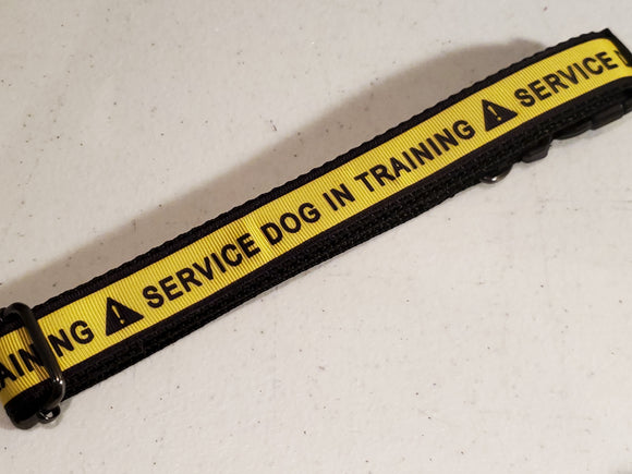 Service Dog In Training Collar - Large