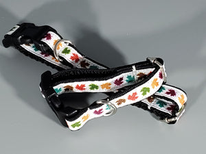 Fall White With Colorful Leaves Collar - XSmall/Small