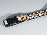 Cheetah Collar - XSmall/Small/Medium/Large